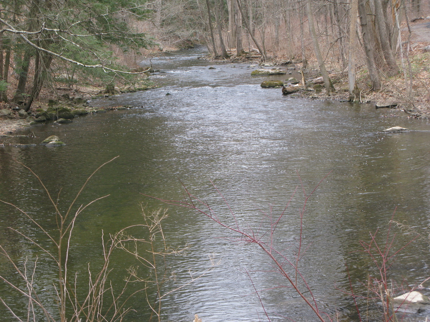 The Woodstreet pool, Amawalk outlet. This is the Westchester stream where DEC biologists studied trout population dynamics.